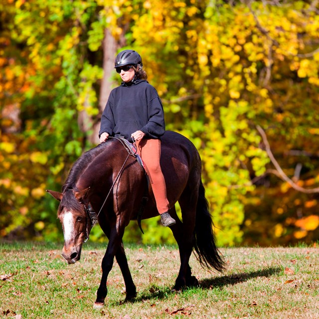 A person on horseback rides in front of trees with orange, yellow and green leaves
