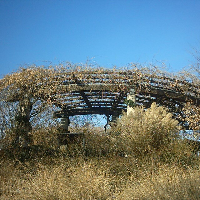 A structure atop a hill covered in vines.