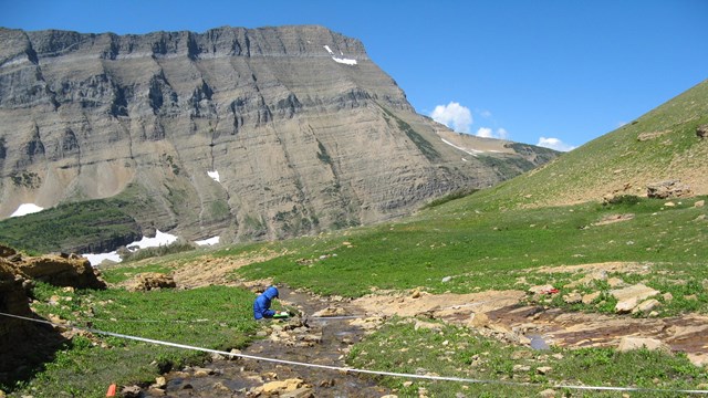 Wetland monitoring in Glacier National Park