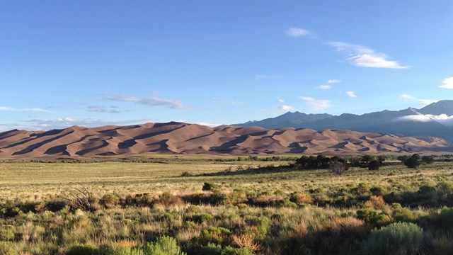 View of the dunes in Great Sand Dunes National Park.