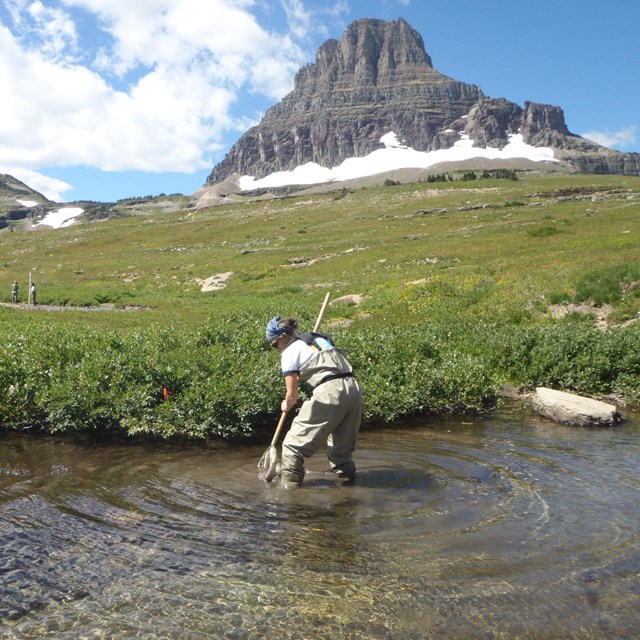 Stream monitoring in Glacier National Park.
