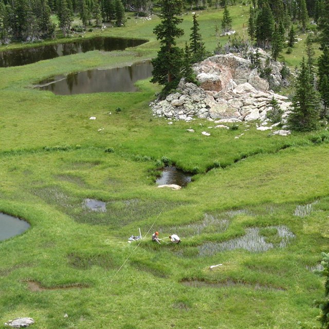 Wetland Ecological Integrity monitoring in Rocky Mountain NP.