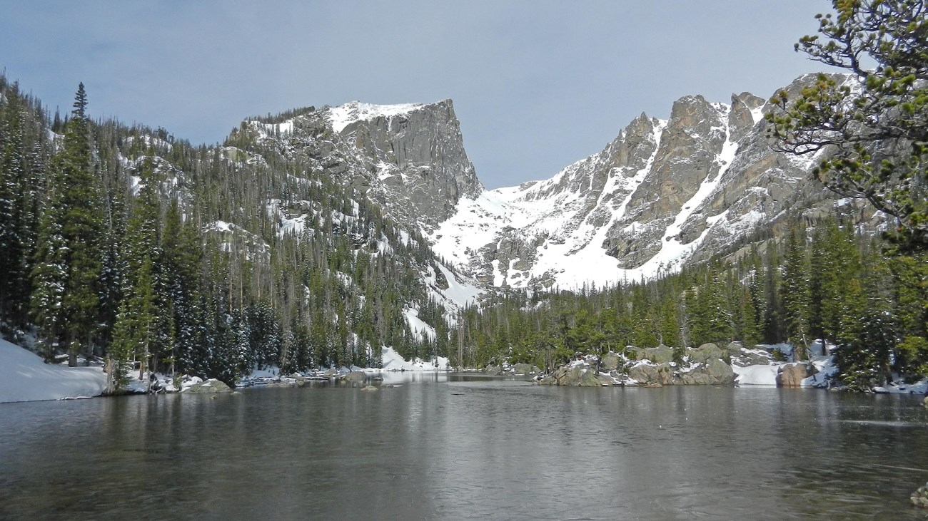 Plan Your Summer Trip to Rocky