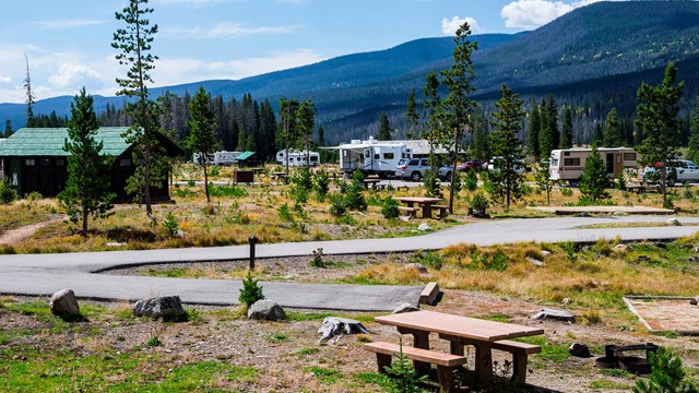 RVs and tents are set up in a campground in RMNP 