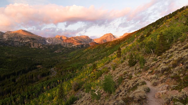 Aspen trees on a hillside above a trail have leaves that are shades of green, gold, and orange