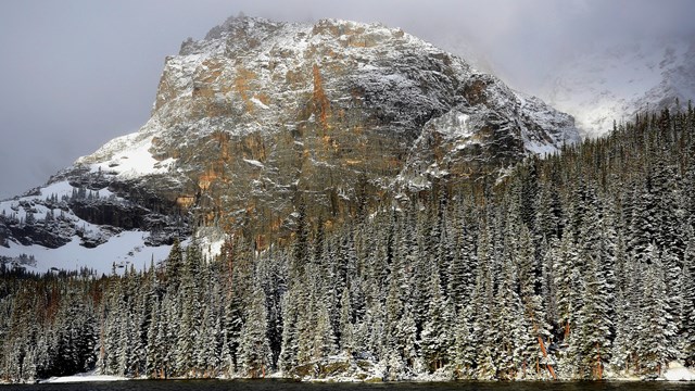 Explore the Parks' Webcams