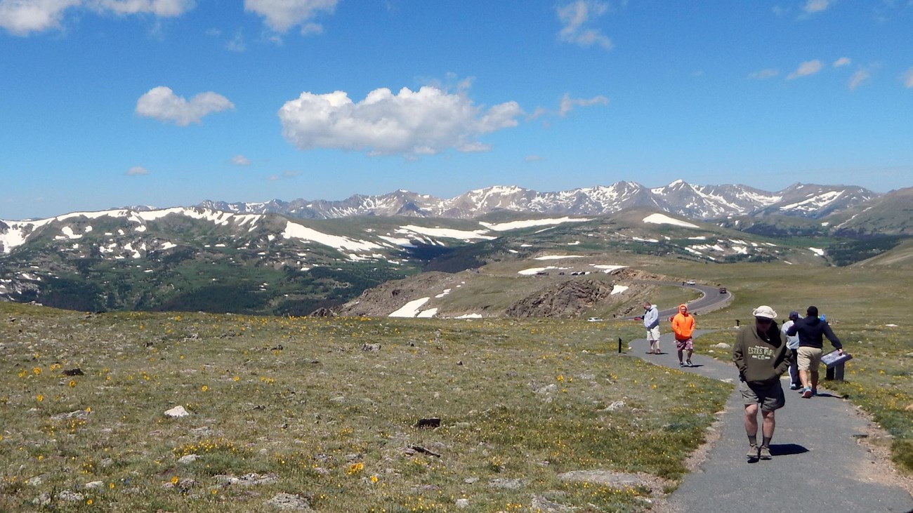 Visitors are hiking on the Tundra Communities Trail in summer