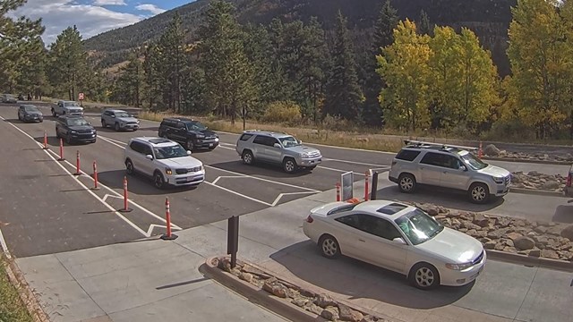 Vehicle are lined up to enter RMNP via the Fall River Entrance webcam