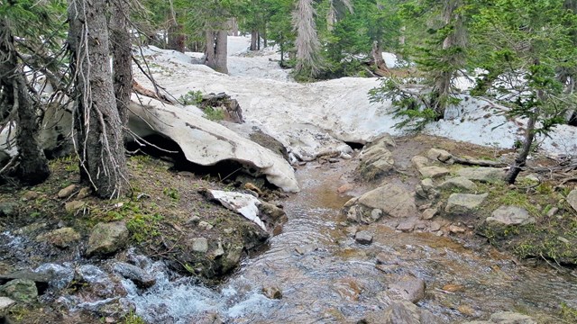 A hiking trail in RMNP is wet, muddy, and snow-covered.