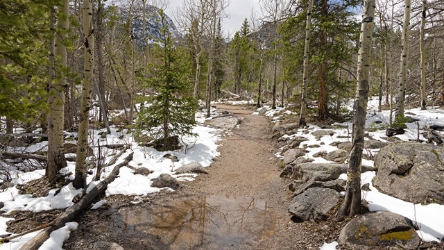 A trail is wet and muddy