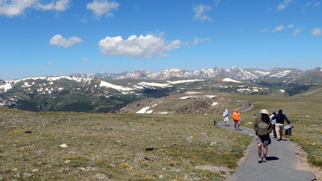 Visitors are walking on the Tundra Communities trail in summer