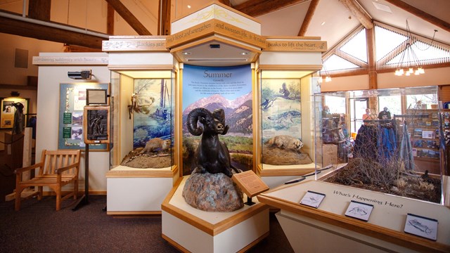 Explore informative displays in our visitor centers