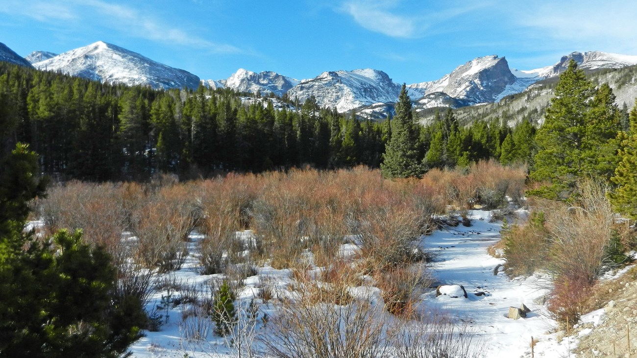 Mountains along the Continental Divided have fresh snow and there is snow in the valley with trees 