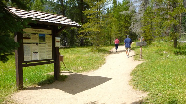 The Colorado River Trailhead in summer