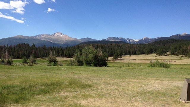 Large meadow valleys