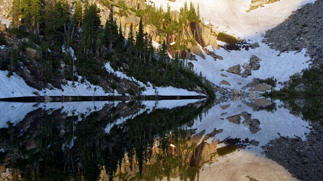 Subalpine (9,000-11,000 feet)