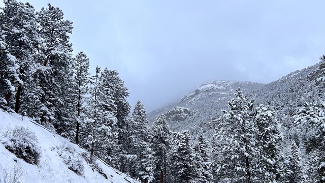 View of a section of Trail Ridge Road covered with snow and ice following a winter storm
