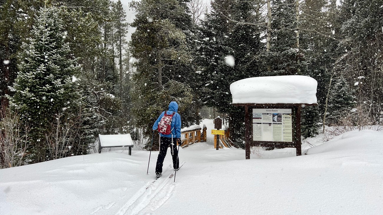 A person is cross-country skiing in RMNP