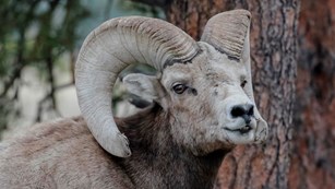 A ranger greets a visitor at a park entrance booth