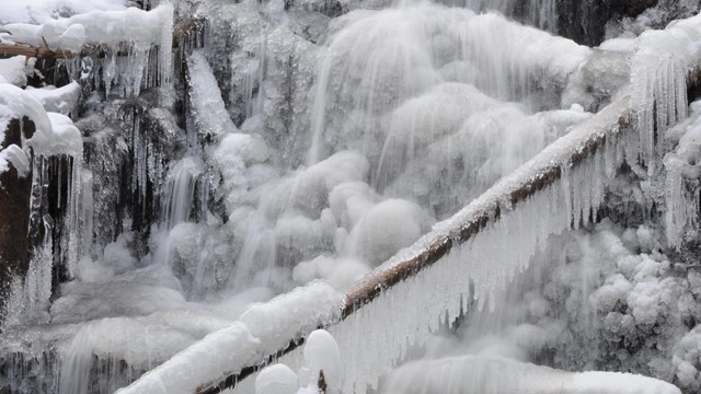 This report describes the status of important resources in Rocky Mountain National Park.