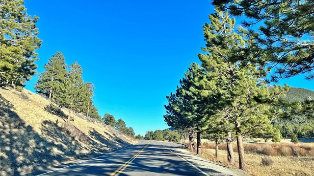 A section of Trail Ridge Road is dry and clear near Horseshoe Park in March