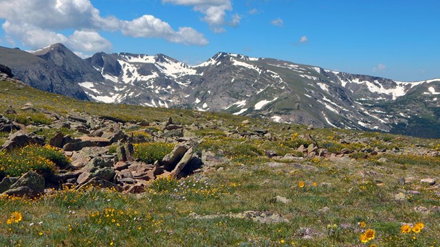 Plan Your Summer Trip to Rocky