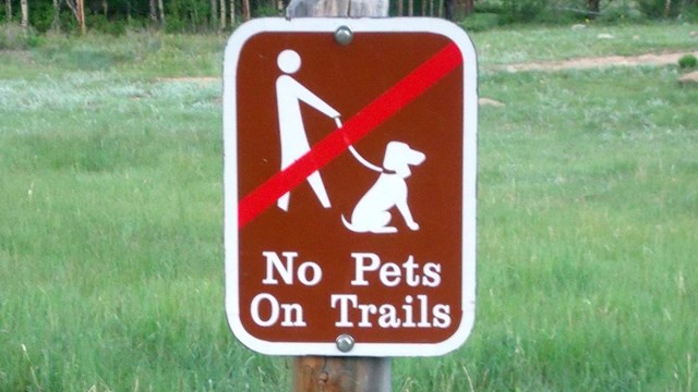 Image of a park sign with the text "No Pets on Trails." 