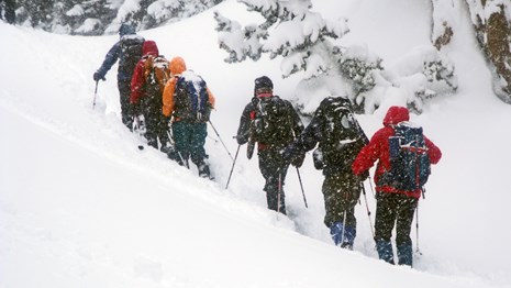 A group of snowshoes ascends a snowy slope