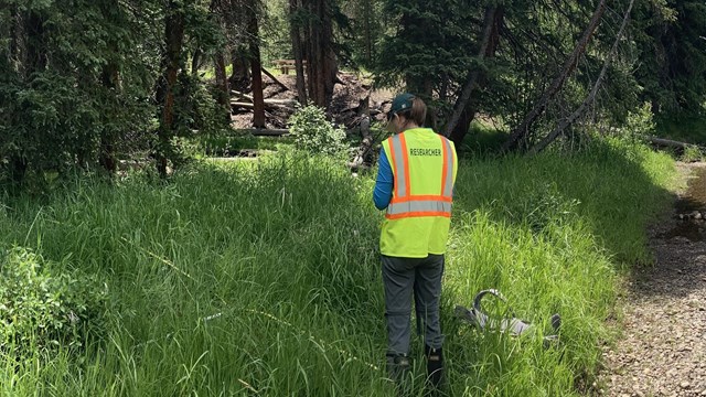 Interested in conducting research in RMNP?