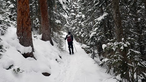 The trail to Dream Lake is snowpacked and icy. A hiker is using traction devices and hiking poles.