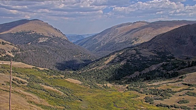 Webcam view looking down on Old Fall River Road from Alpine Visitor Center 