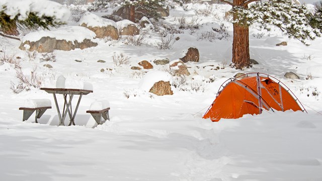 Winter Camping