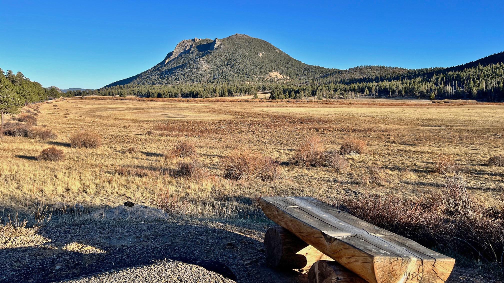 An open meadow with mountain peaks in the distance