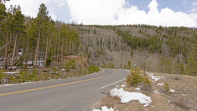 A winding, paved mountain road is lined with pine trees and dry. Patches of snow are on the side