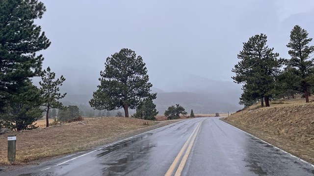 A park road is wet and the sky is grey and cloudy while its raining
