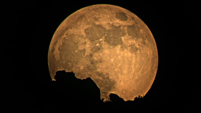 Night Sky and Natural Sounds