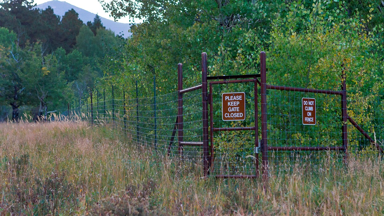 An exclosure fence in RMNP