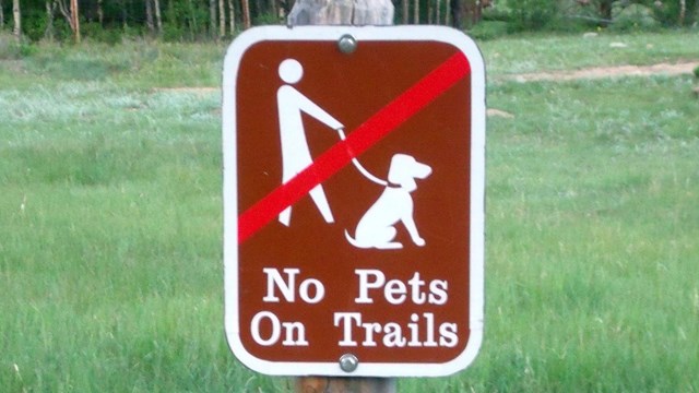 No Dogs on Trails sign