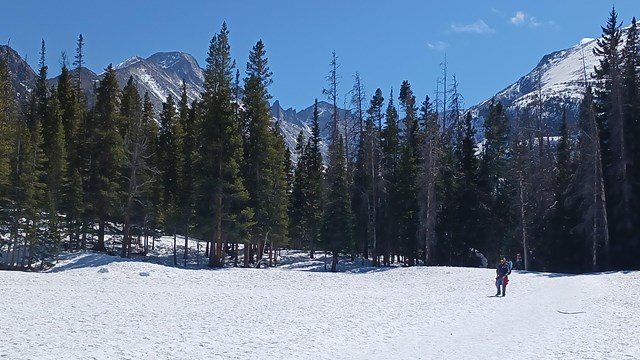 A person is hiking on a snow-covered trail near Nymph Lake