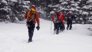 A group of visitors are snowshoeing on a snowpacked trail