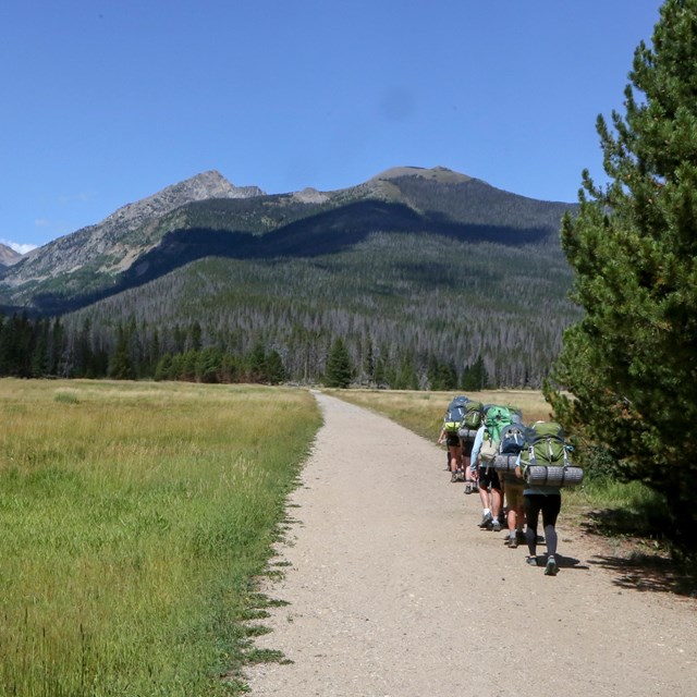 A group of four people are carrying overnight backpacks down a trail in RMNP
