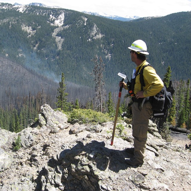 firefighter overlooking a burnt forest