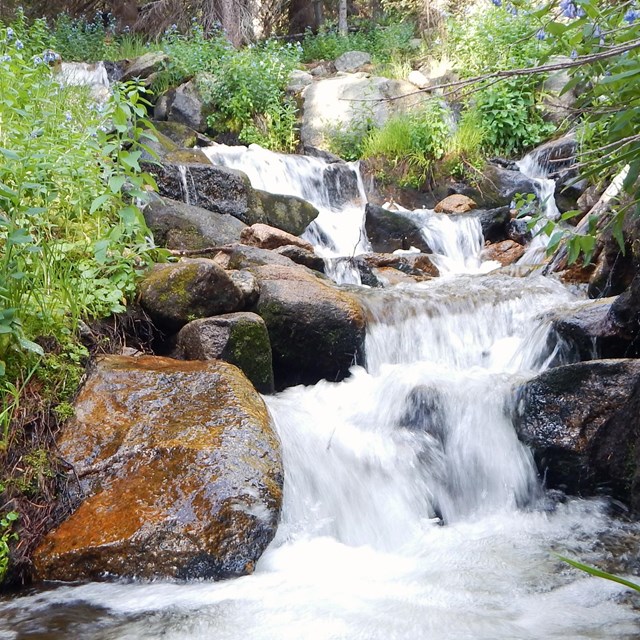 Water is moving fast and rocks are slippery in a mountain creek