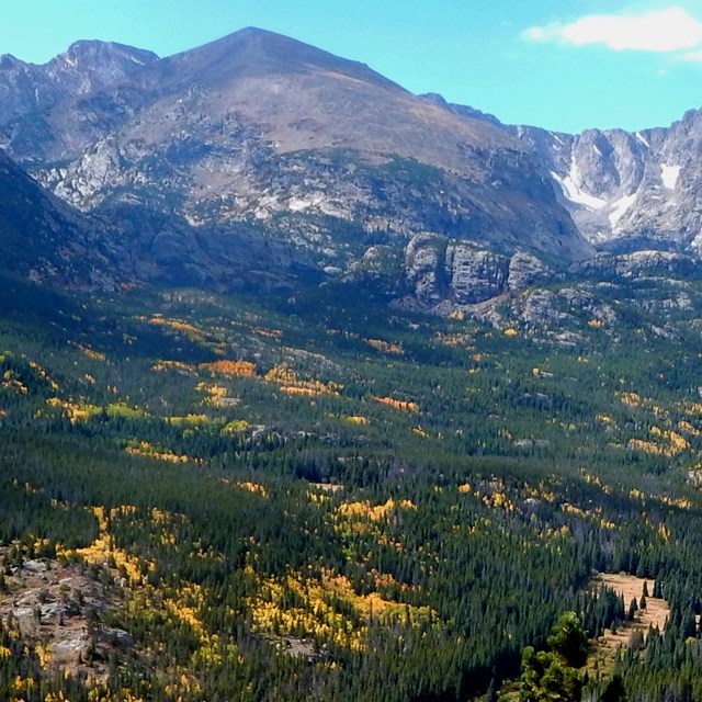 A mountain backdrop with colorful aspen