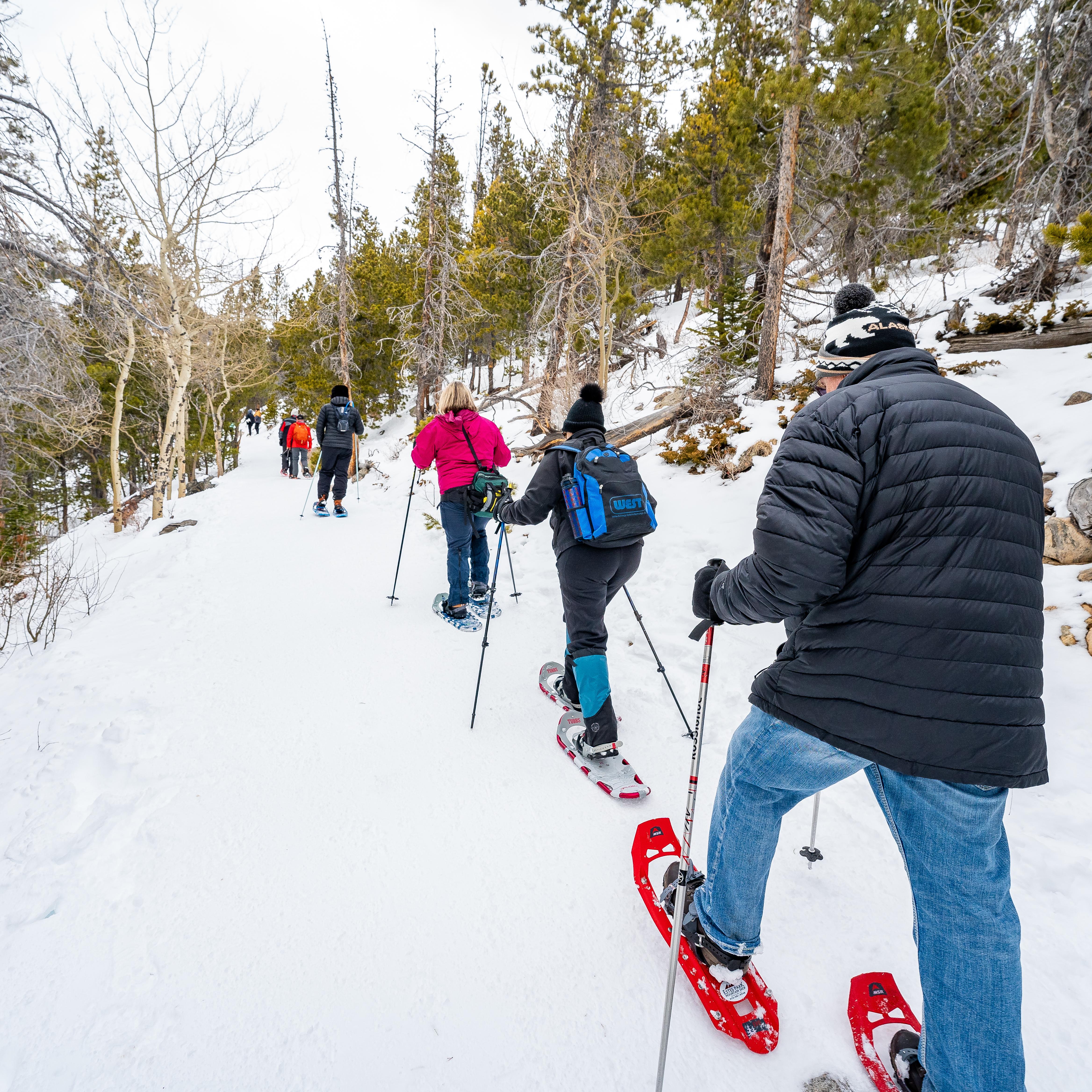 Visitors are walking in a line on a trail with a park ranger on a snowshoe hike