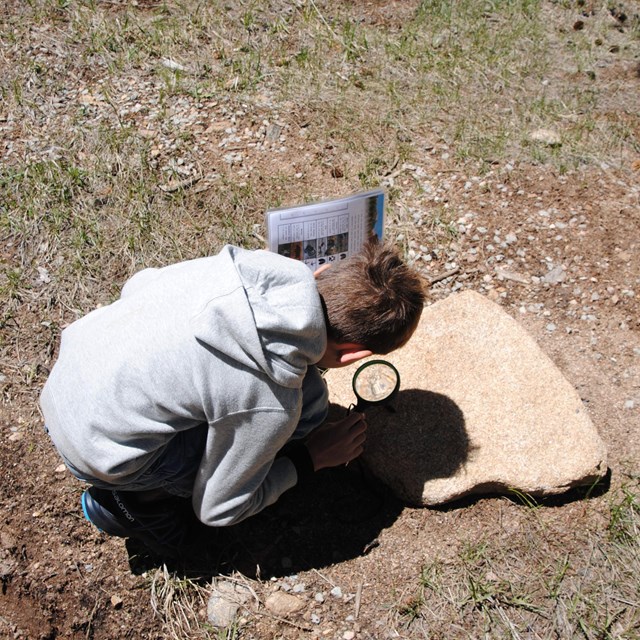 A Junior Ranger is looking at a Rock using a magnifiying glass
