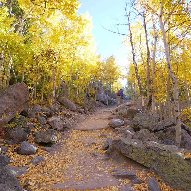 Hiking