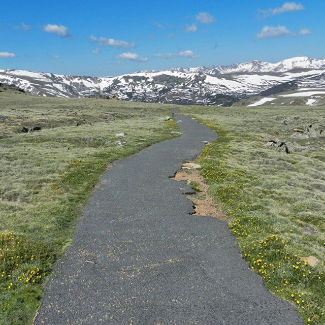 A trail along a lake is clear and dry on a sunny day