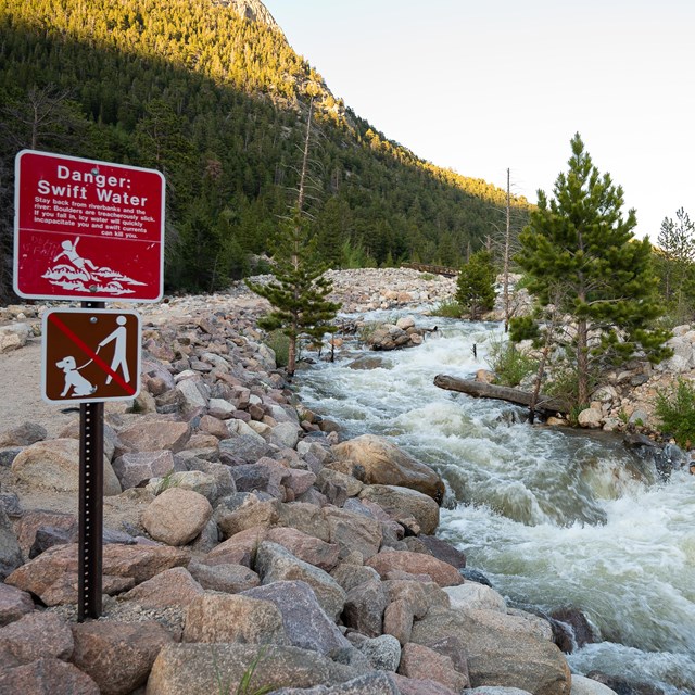 Water is moving high and fast in a stream near a hiking trail