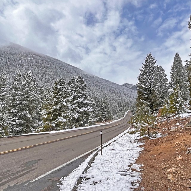 The surface of a park road is clear of snow, snow lines the road and trees are dusted with snow 